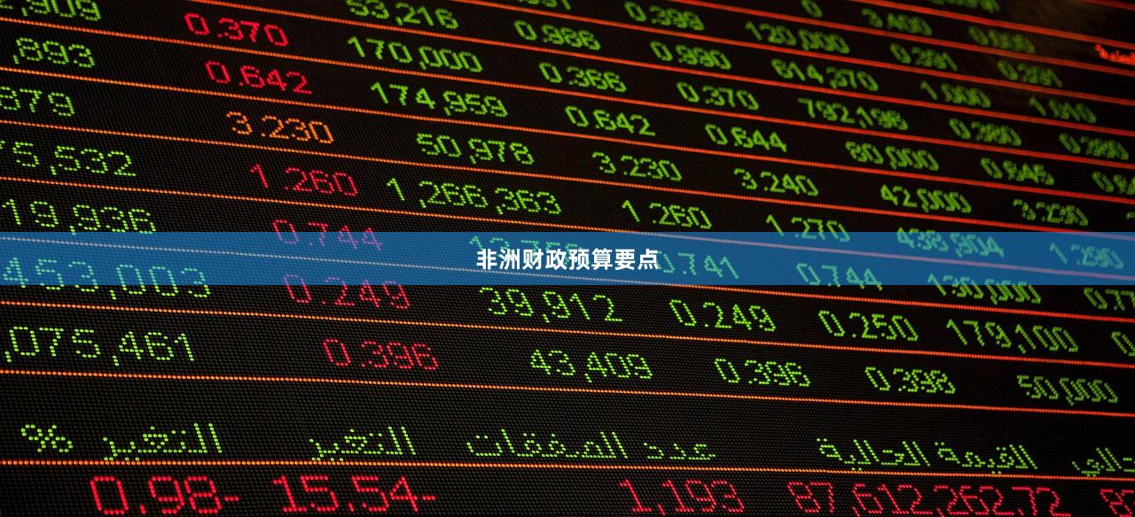 非洲财政预算要点