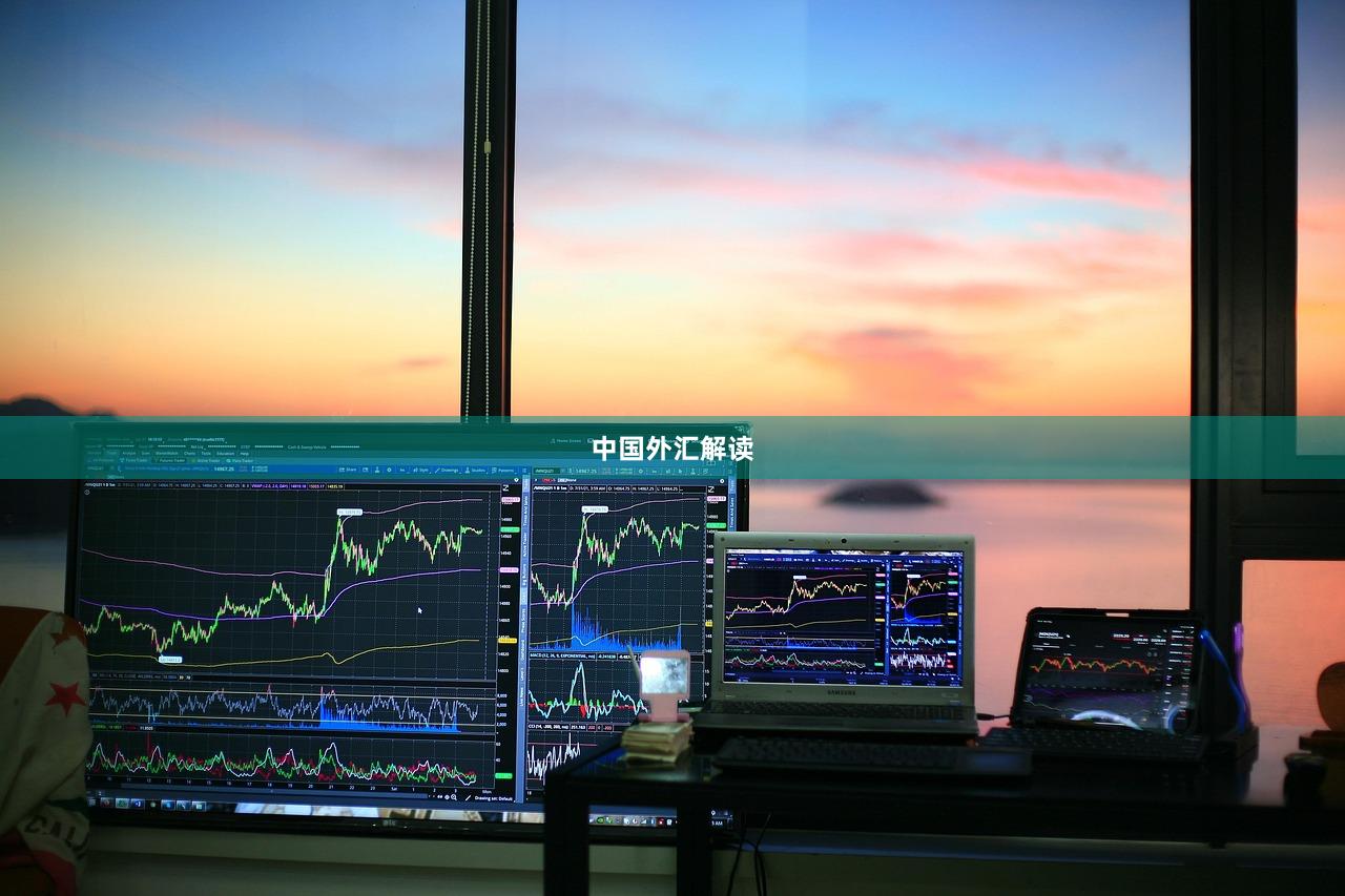 中国外汇解读