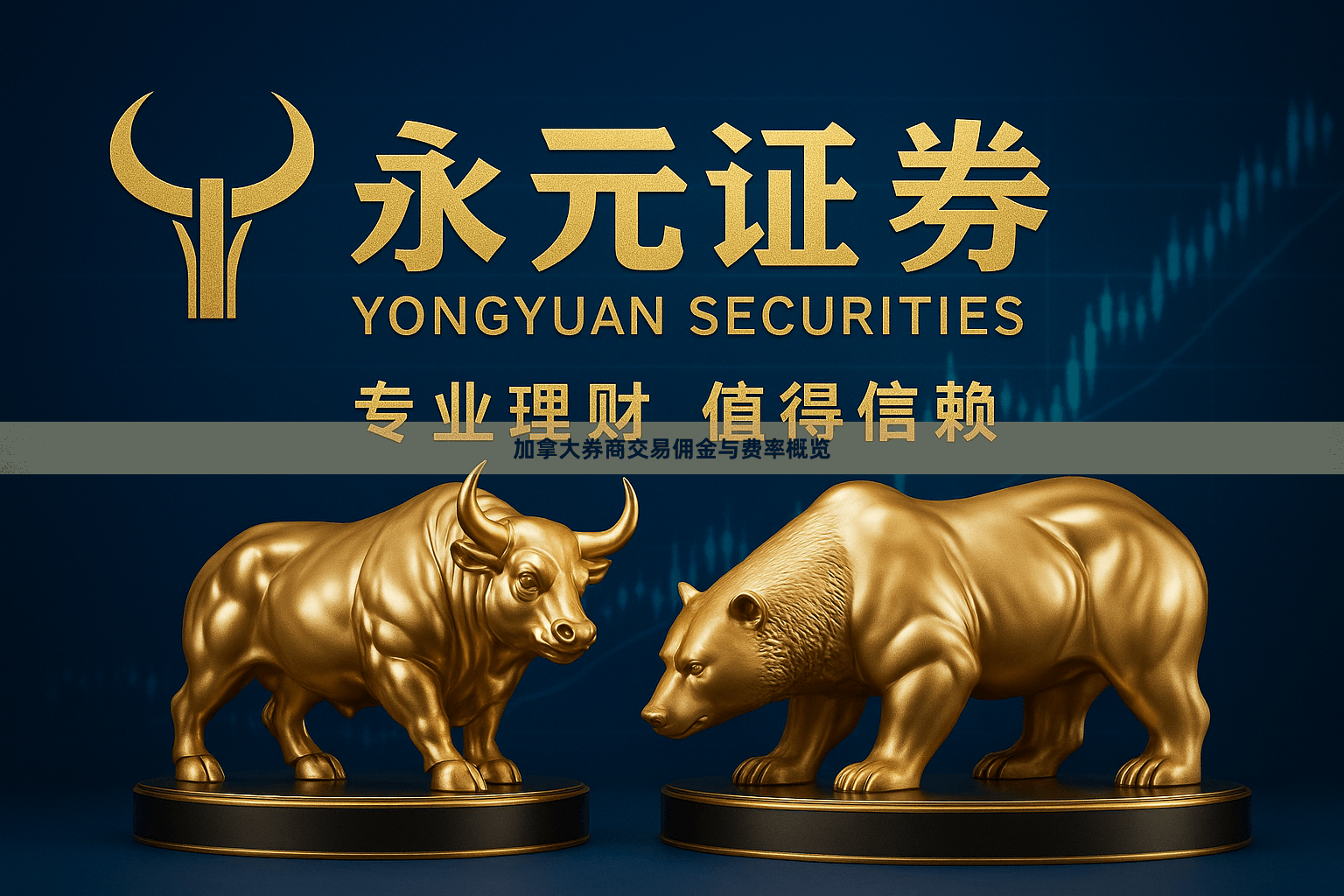 加拿大券商交易佣金与费率概览